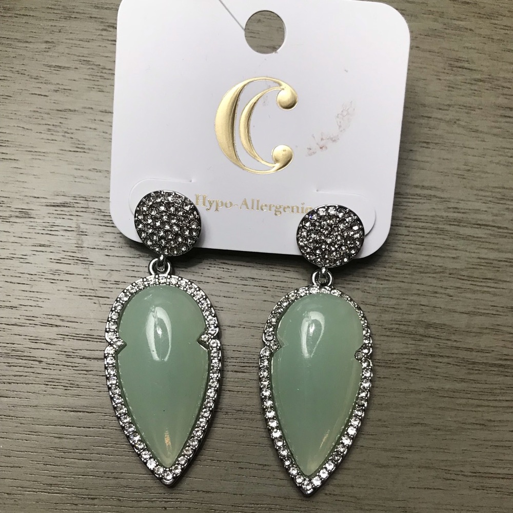 Charming Charlie Statement Earrings